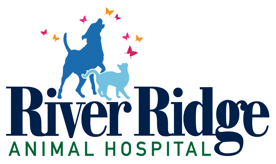 River Ridge Animal Hospital logo